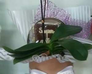 19- Mini  orquídea com chocolate